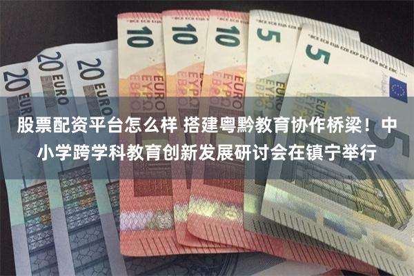 股票配资平台怎么样 搭建粤黔教育协作桥梁！中小学跨学科教育创新发展研讨会在镇宁举行