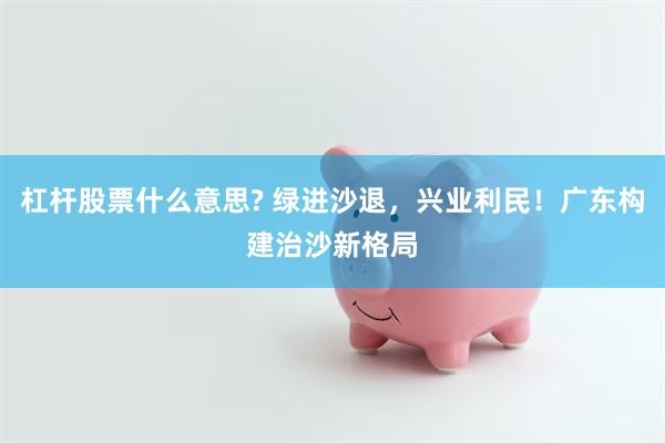 杠杆股票什么意思? 绿进沙退，兴业利民！广东构建治沙新格局