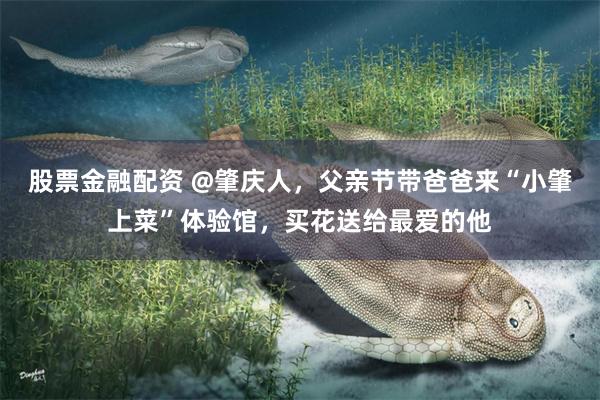 股票金融配资 @肇庆人，父亲节带爸爸来“小肇上菜”体验馆，买花送给最爱的他