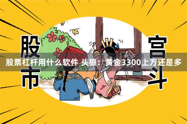 股票杠杆用什么软件 头狼：黄金3300上方还是多