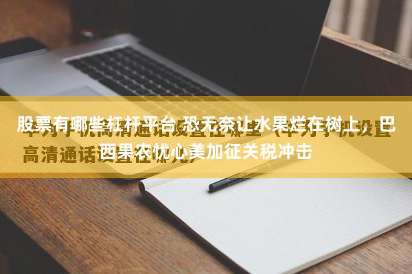 股票有哪些杠杆平台 恐无奈让水果烂在树上，巴西果农忧心美加征关税冲击