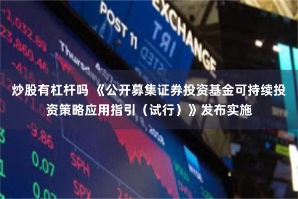 炒股有杠杆吗 《公开募集证券投资基金可持续投资策略应用指引（试行）》发布实施