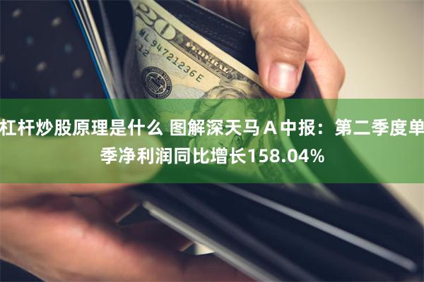 杠杆炒股原理是什么 图解深天马Ａ中报：第二季度单季净利润同比增长158.04%
