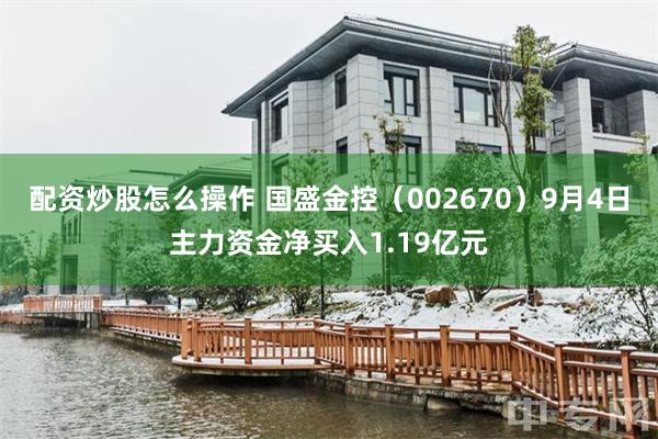 配资炒股怎么操作 国盛金控（002670）9月4日主力资金净买入1.19亿元
