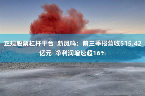 正规股票杠杆平台 新凤鸣:前三季报营收515.42亿元 净利润增速超16%