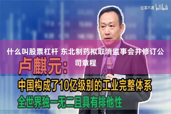 什么叫股票杠杆 东北制药拟取消监事会并修订公司章程