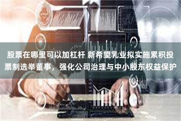 股票在哪里可以加杠杆 新希望乳业拟实施累积投票制选举董事，强化公司治理与中小股东权益保护