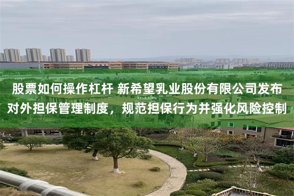 股票如何操作杠杆 新希望乳业股份有限公司发布对外担保管理制度，规范担保行为并强化风险控制