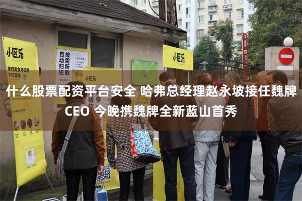 什么股票配资平台安全 哈弗总经理赵永坡接任魏牌CEO 今晚携魏牌全新蓝山首秀