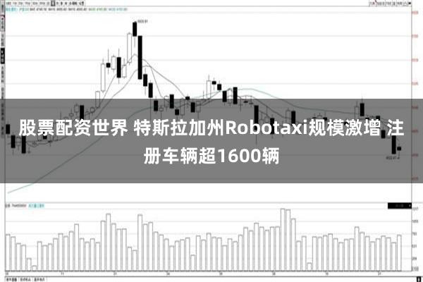 股票配资世界 特斯拉加州Robotaxi规模激增 注册车辆超1600辆