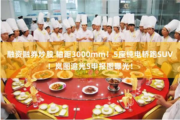 融资融券炒股 轴距3000mm！5座纯电轿跑SUV！岚图追光S申报图曝光！