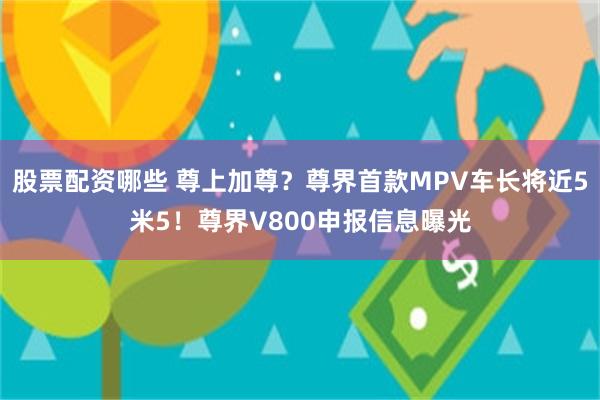 股票配资哪些 尊上加尊？尊界首款MPV车长将近5米5！尊界V800申报信息曝光