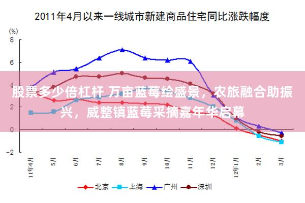 股票多少倍杠杆 万亩蓝莓绘盛景,农旅融合助振兴,威整镇蓝莓采摘嘉年华启幕