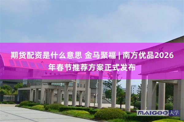 期货配资是什么意思 金马聚福 | 南方优品2026年春节推荐方案正式发布
