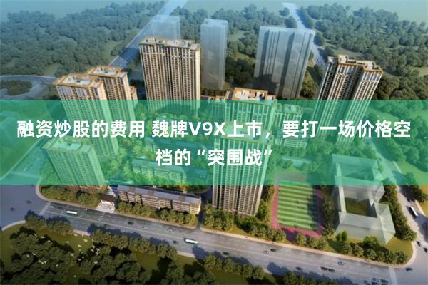 融资炒股的费用 魏牌V9X上市,要打一场价格空档的“突围战”