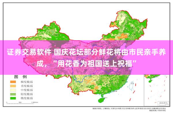 证券交易软件 国庆花坛部分鲜花将由市民亲手养成，“用花香为祖国送上祝福”