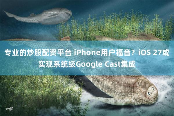 专业的炒股配资平台 iPhone用户福音？iOS 27或实现系统级Google Cast集成
