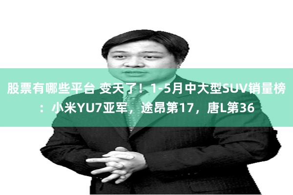 股票有哪些平台 变天了！1-5月中大型SUV销量榜：小米YU7亚军，途昂第17，唐L第36