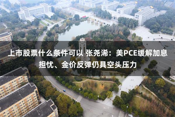 上市股票什么条件可以 张尧浠：美PCE缓解加息担忧、金价反弹仍具空头压力