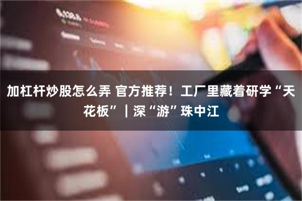 加杠杆炒股怎么弄 官方推荐！工厂里藏着研学“天花板”｜深“游”珠中江