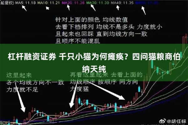 杠杆融资证券 千只小猫为何瘫痪？四问猫粮商伯纳天纯