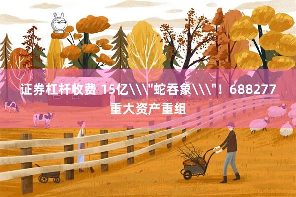证券杠杆收费 15亿\