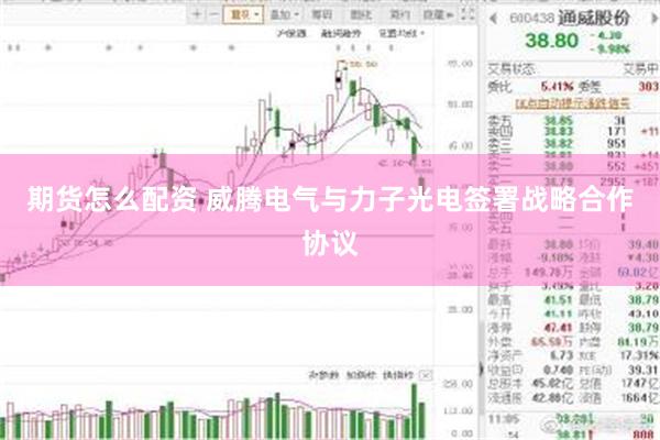 期货怎么配资 威腾电气与力子光电签署战略合作协议