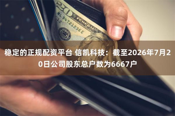 稳定的正规配资平台 信凯科技：截至2026年7月20日公司股东总户数为6667户