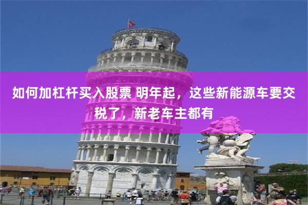 如何加杠杆买入股票 明年起,这些新能源车要交税了,新老车主都有
