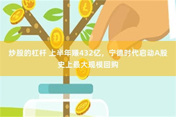 炒股的杠杆 上半年赚432亿，宁德时代启动A股史上最大规模回购