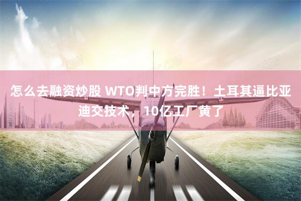怎么去融资炒股 WTO判中方完胜!土耳其逼比亚迪交技术,10亿工厂黄了