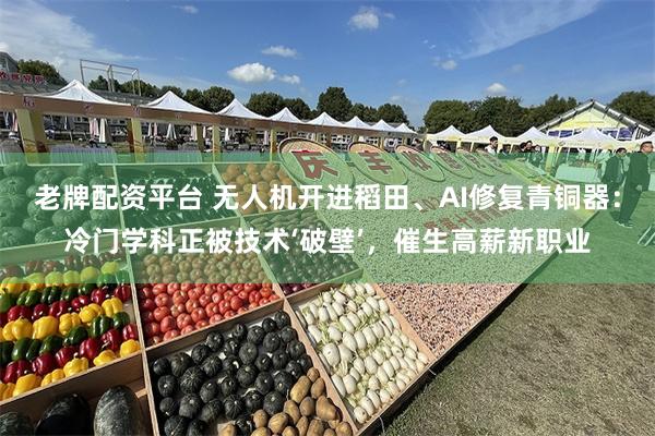 老牌配资平台 无人机开进稻田、AI修复青铜器：冷门学科正被技术‘破壁’，催生高薪新职业