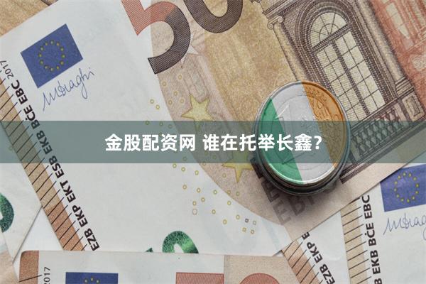 金股配资网 谁在托举长鑫？