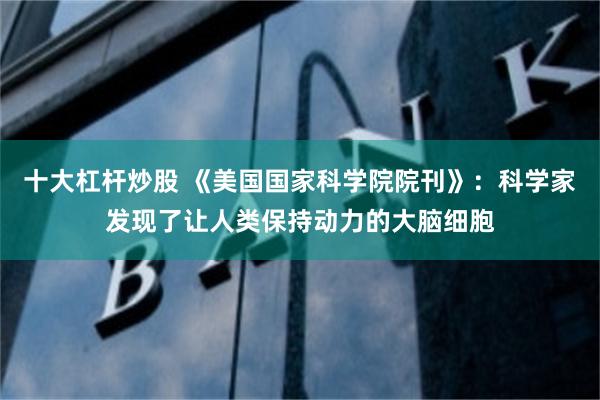 十大杠杆炒股 《美国国家科学院院刊》：科学家发现了让人类保持动力的大脑细胞