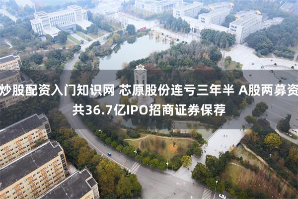 炒股配资入门知识网 芯原股份连亏三年半 A股两募资共36.7亿IPO招商证券保荐