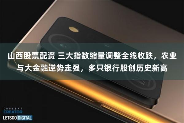 山西股票配资 三大指数缩量调整全线收跌，农业与大金融逆势走强，多只银行股创历史新高