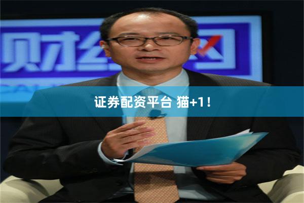 证券配资平台 猫+1！