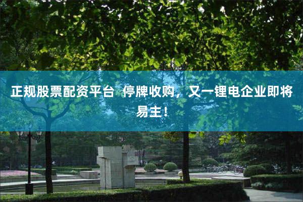 正规股票配资平台  停牌收购，又一锂电企业即将易主！