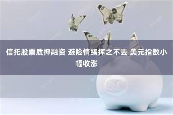信托股票质押融资 避险情绪挥之不去 美元指数小幅收涨