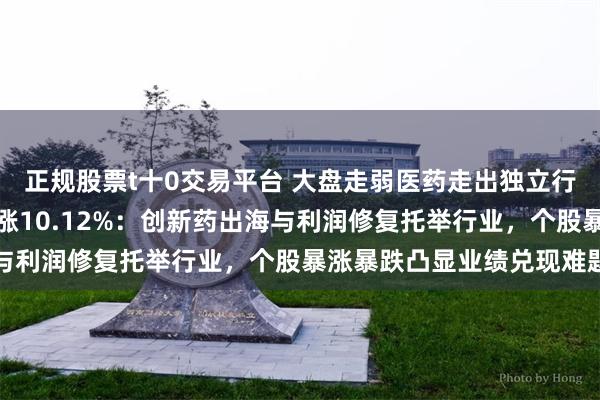 正规股票t十0交易平台 大盘走弱医药走出独立行情，三季度医药逆势上涨10.12%：创新药出海与利润修复托举行业，个股暴涨暴跌凸显业绩兑现难题