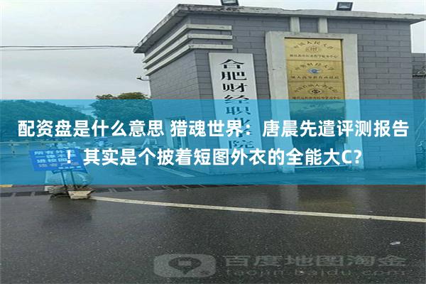 配资盘是什么意思 猎魂世界：唐晨先遣评测报告！其实是个披着短图外衣的全能大C？