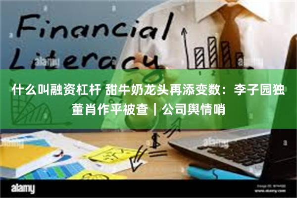 什么叫融资杠杆 甜牛奶龙头再添变数：李子园独董肖作平被查｜公司舆情哨