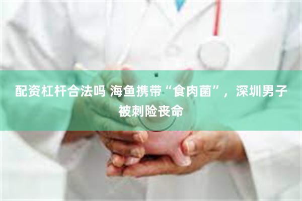 配资杠杆合法吗 海鱼携带“食肉菌”，深圳男子被刺险丧命
